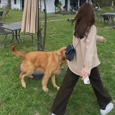 圣诞老人公司